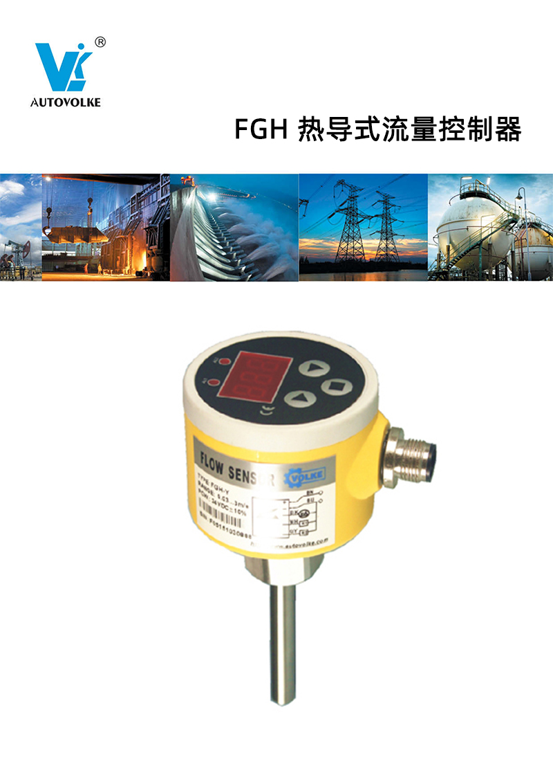 FGH ȵʽ